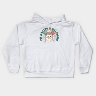 I'm Having a Meltdown Kids Hoodie